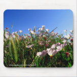 Mousepad - Kalifornien-Wildblumen mauspads