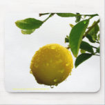 Mousepad - nasse Zitrone im Regen mauspads
