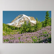 Mt. Haube von Wy Ostbecken 2 Plakatdruck