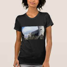 Mur externe, chevaliers de DES de Krak, Syrie T-shirts
