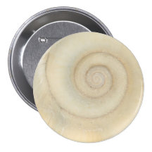 Muschel - Konchologie - weiße Spirale Button