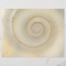 Muschel - Konchologie - weiße Spirale Flyer Druck