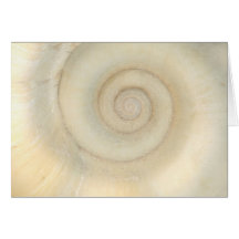 Muschel - Konchologie - weiße Spirale Karten