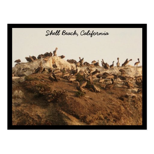 Muschel-Strand, Kalifornien Postkarten