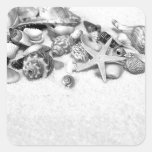 Muschel-u. Starfish-Aufkleber