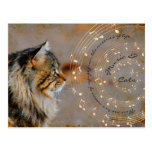 Musik u. Katzen-Postkarte