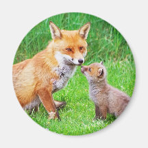 Mutterfuchs und -junges magnete