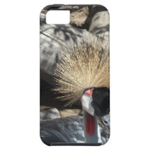Nach Osten Afrikaner gekrönter Kran iPhone 5 Cover