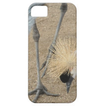 Nach Osten Afrikaner gekrönter Kran iPhone 5 Etuis