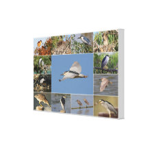 Nachtreiher-Collage Gespannter Galeriedruck