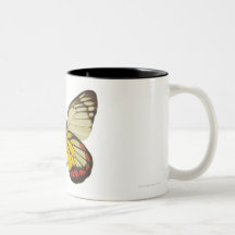 Nahaufnahme eines Schmetterlinges 3 Tee Tasse