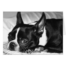 Naptime Grußkarten