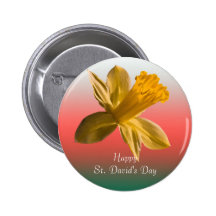 Narzissen-Knopf Anstecknadelbutton