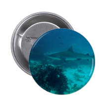 Natation grise de requin de récif badge