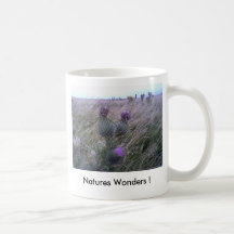 Natur-Wunder! Tasse