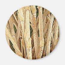Naturalia Kühlschrankmagnet