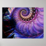 Nautilus Posters