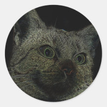 Neoncat Runder Aufkleber