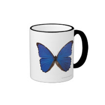 Nestira Marpho Schmetterling Teehaferl