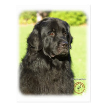 Neufundland 9M099D-018 Postkarte