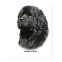 Neufundland Postkarte