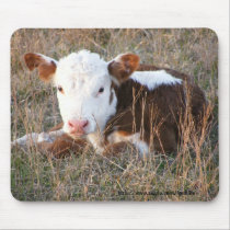 Neugieriges Kalb mousepad mauspads