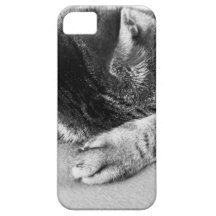 niedlich Katze schläft auf dem Bett süß iPhone 5 Cover