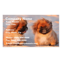 Niedliche Pekingese Hunde Visitenkartenvorlage