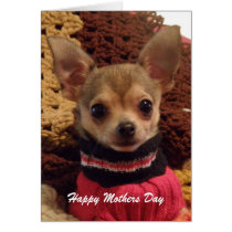 Niedlicher Chihuahua: Mutter-Tageskarte karten