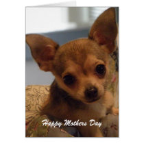 Niedlicher Chihuahua: Mutter-Tageskarte karten