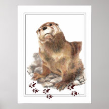 Niedlicher Fluss-Otter, Tierbahnen, wild lebende T Poster