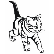 Niedliches Katzen-T-Shirt