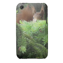 Ninja Eichhörnchen-Fall iPhone 3 Hüllen