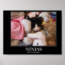Ninjas - sie sind überall