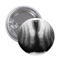 Noir animal et blanc squelettiques humains de pied badges