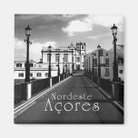 Nordeste - Azoren-Inseln Magnete