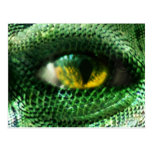 Oeil d'a. carte postale