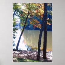 Oies de chute affiches