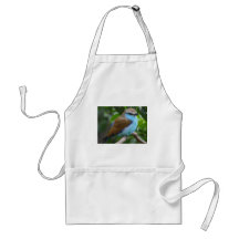 Oiseau bleu tablier