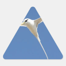 Oiseau Paille en Queue Ile Maurice Autocollants