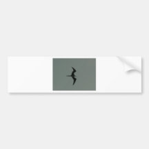 oiseau solo autocollants pour voiture
