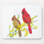 OISEAUX CARDINAUX TAPIS DE SOURIS
