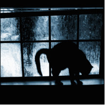 Oktober duscht Katzen-Silhouette dem Blau an des F Photo Skulpturen