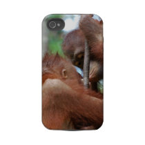Orang-Utan Tier-Küsse