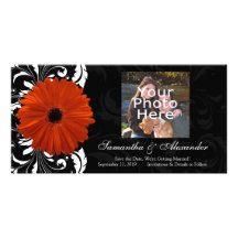 Orange Gerbera-Gänseblümchen mit Schwarzweiss-Roll Bilderkarte