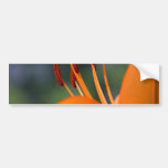 Orange Rot-Blumen-Hibiskus Autosticker
