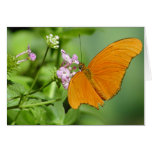 orange Schmetterling Karte