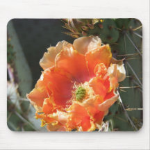 Orange stachelige Birnen-Blume Mauspad