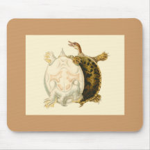 Orbigny - tortue tapis de souris