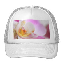Orchidee Baseballcaps